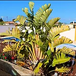 Con Piscina Privada
